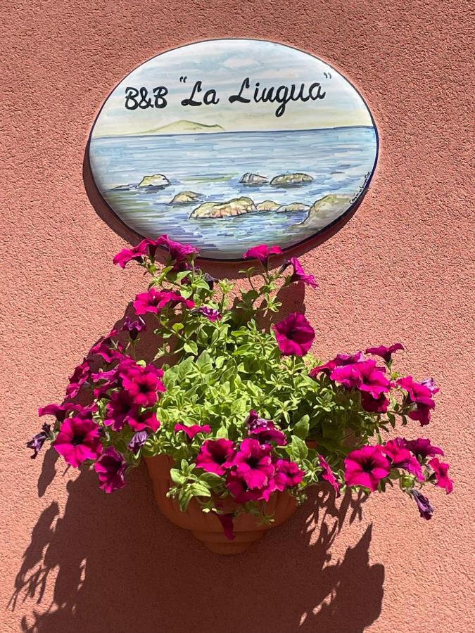 B&B La Lingua Procida Exterior photo